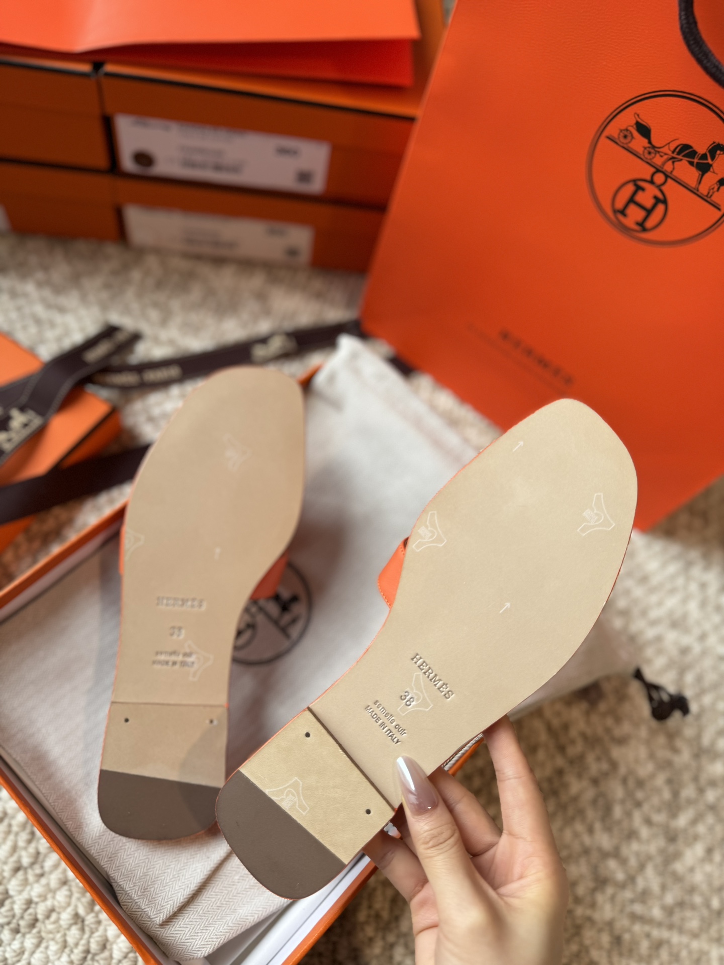 HERMES 01879