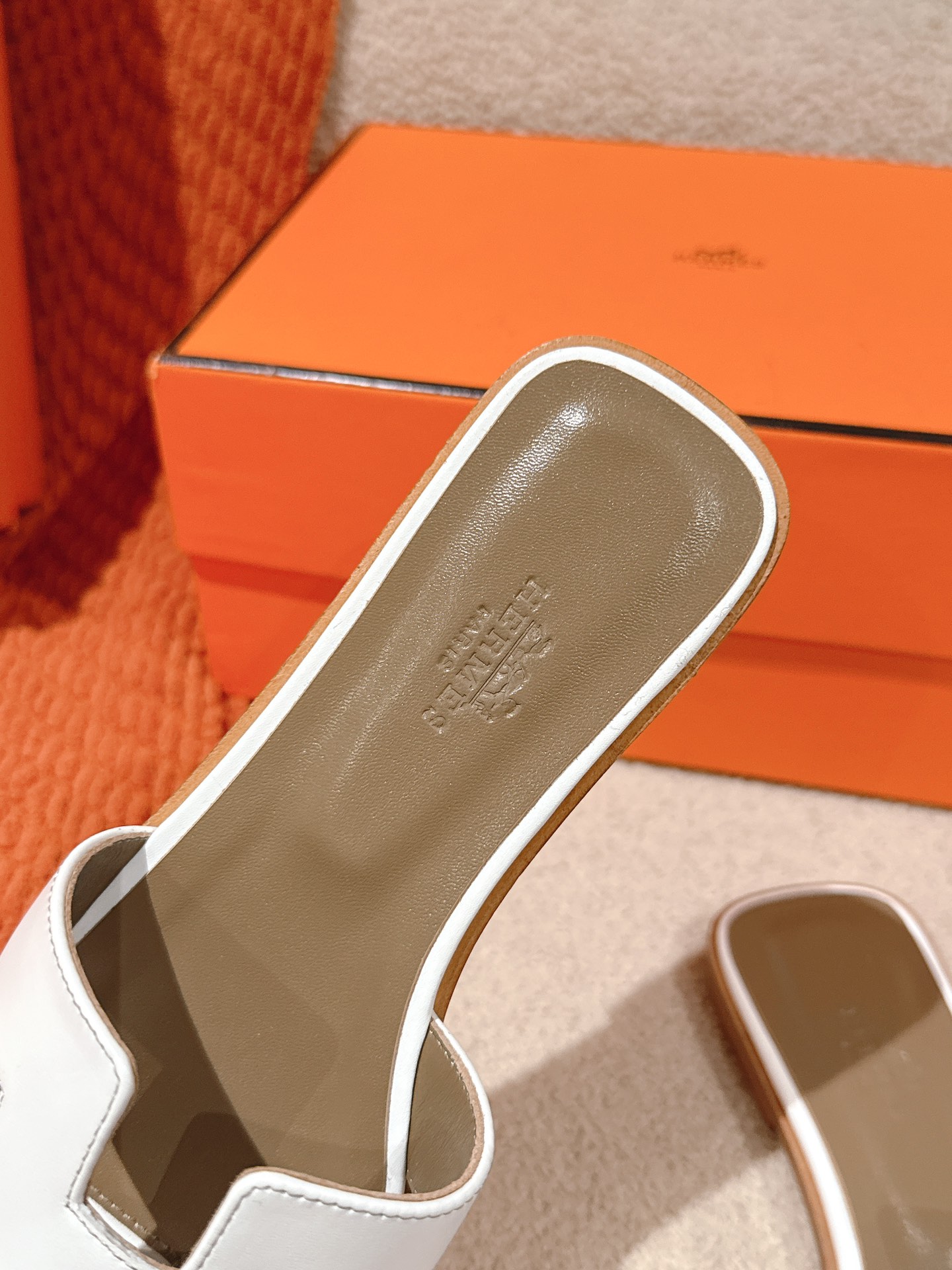 HERMES 02239