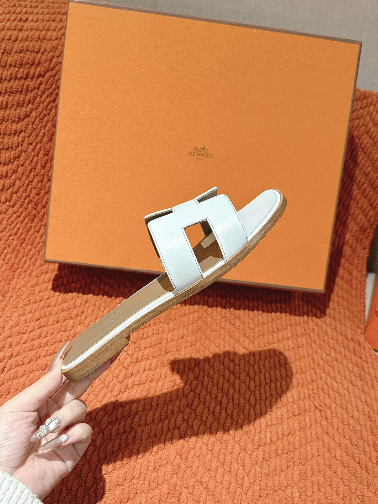 HERMES 02239